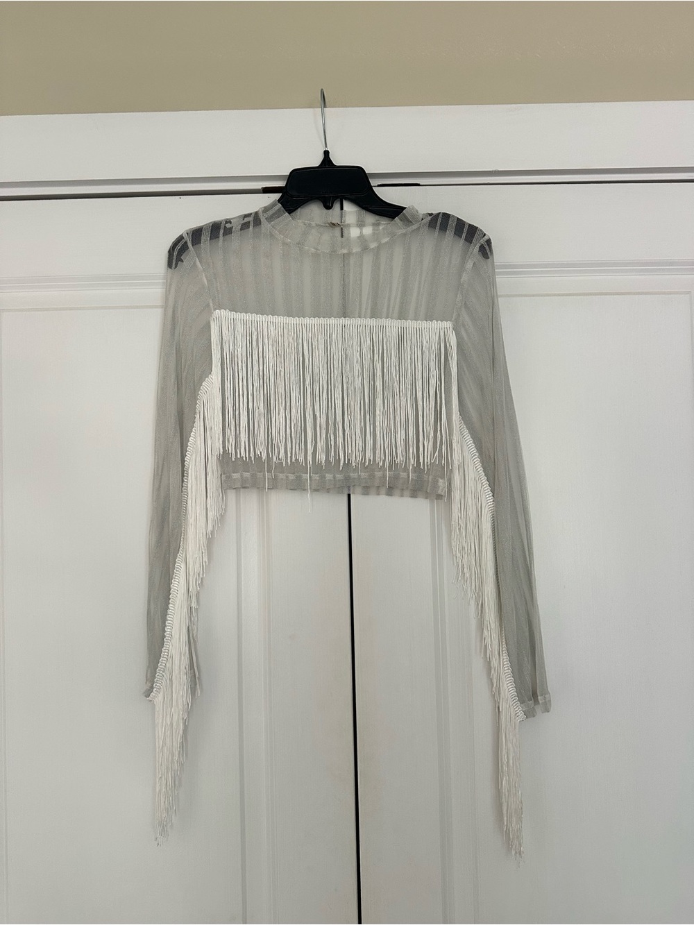 Sheer Long-Sleeve Festival Fringe Crop Top - silver